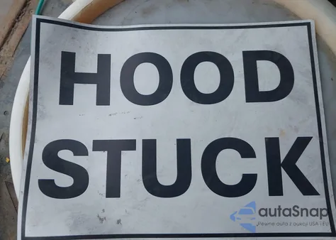 2020 Hyundai Elantra Eco z USA, uszkodzony, nr VIN 5NPD94LA4LH601843